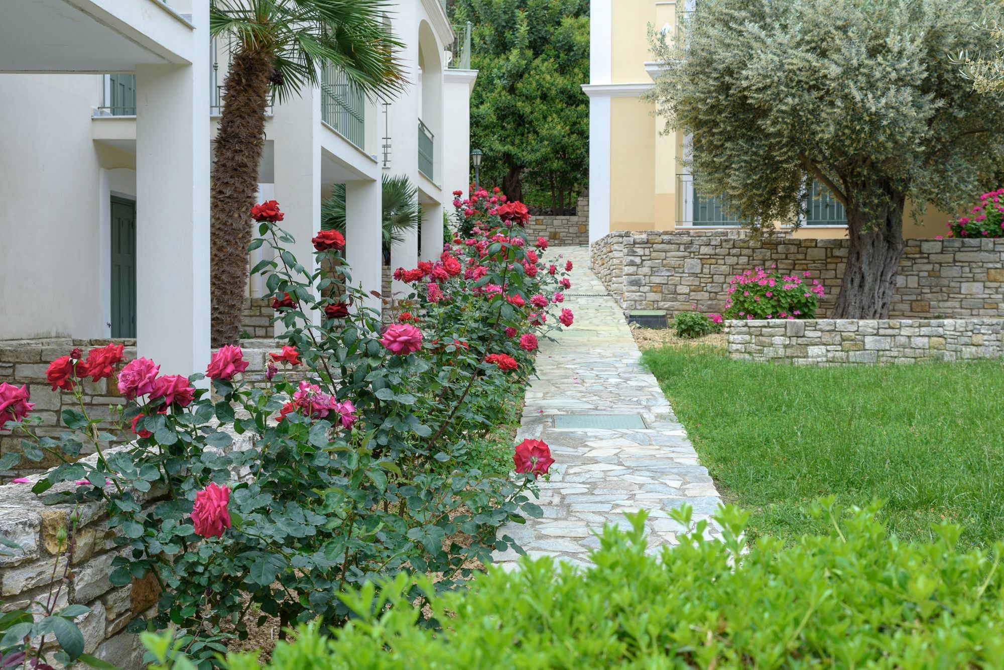 Kyveli Hotel Apartments Vrontados Bagian luar foto